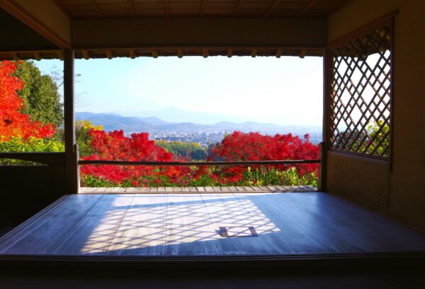 arashiyama bamboo grove visit