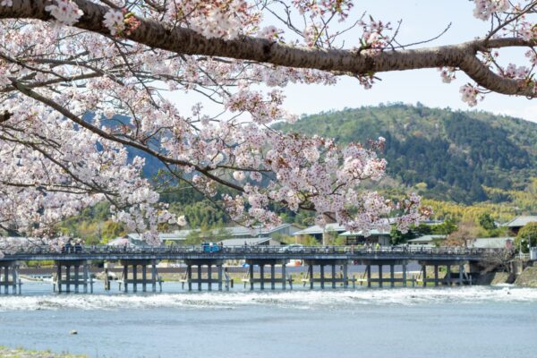 arashiyama tourist spots