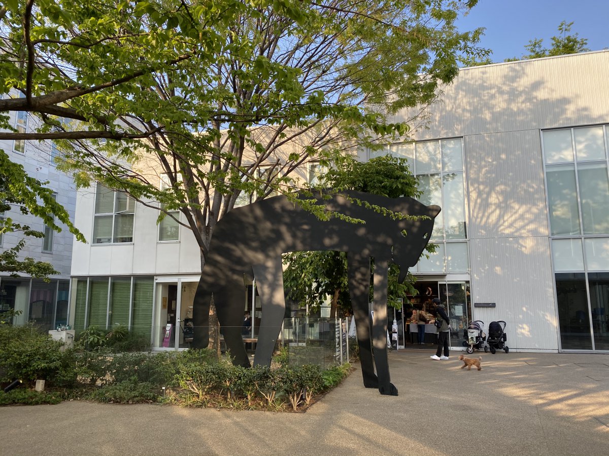 T-site Daikanyama