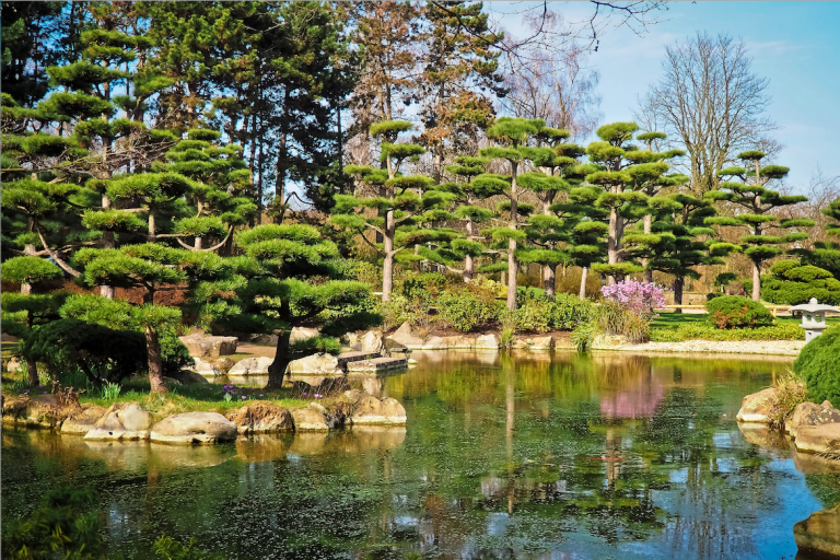 10 Best Outdoor activties and Day Trips Around Osaka | Japan Wonder ...