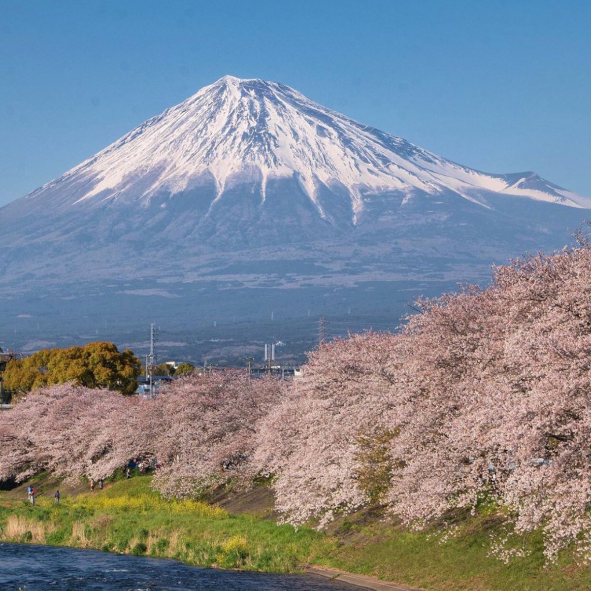  Mount  Fuji  travels in Yamanashi  and Shizuoka Prefecture