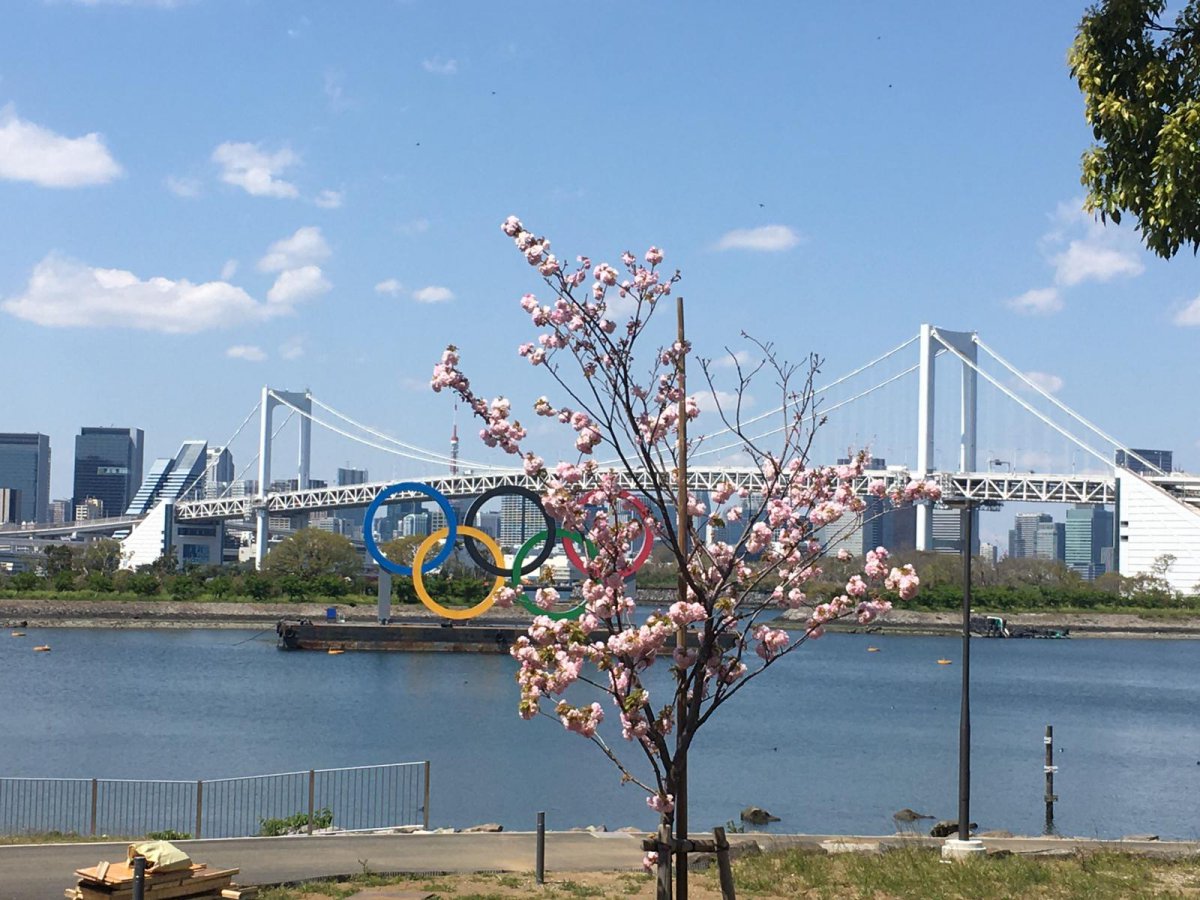 Odaiba, Rainbow bridge, Olympic Rings