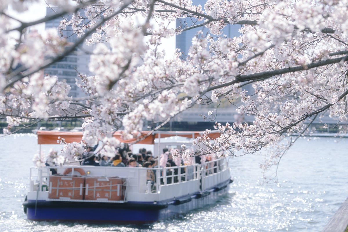 Okawa river Sakura Osaka