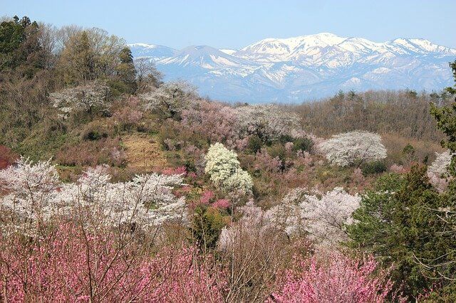 japan tourism fukushima