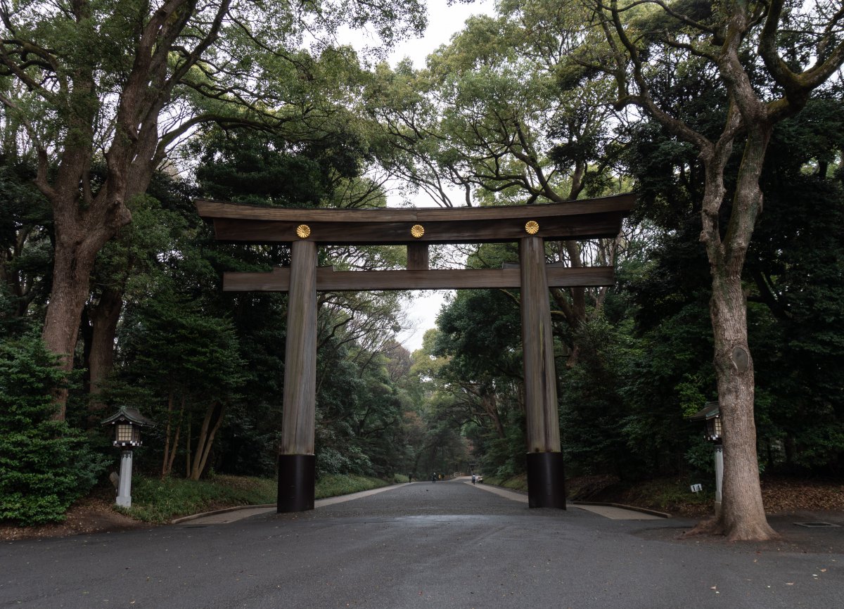 Yoyogi Park, Meiji shrine