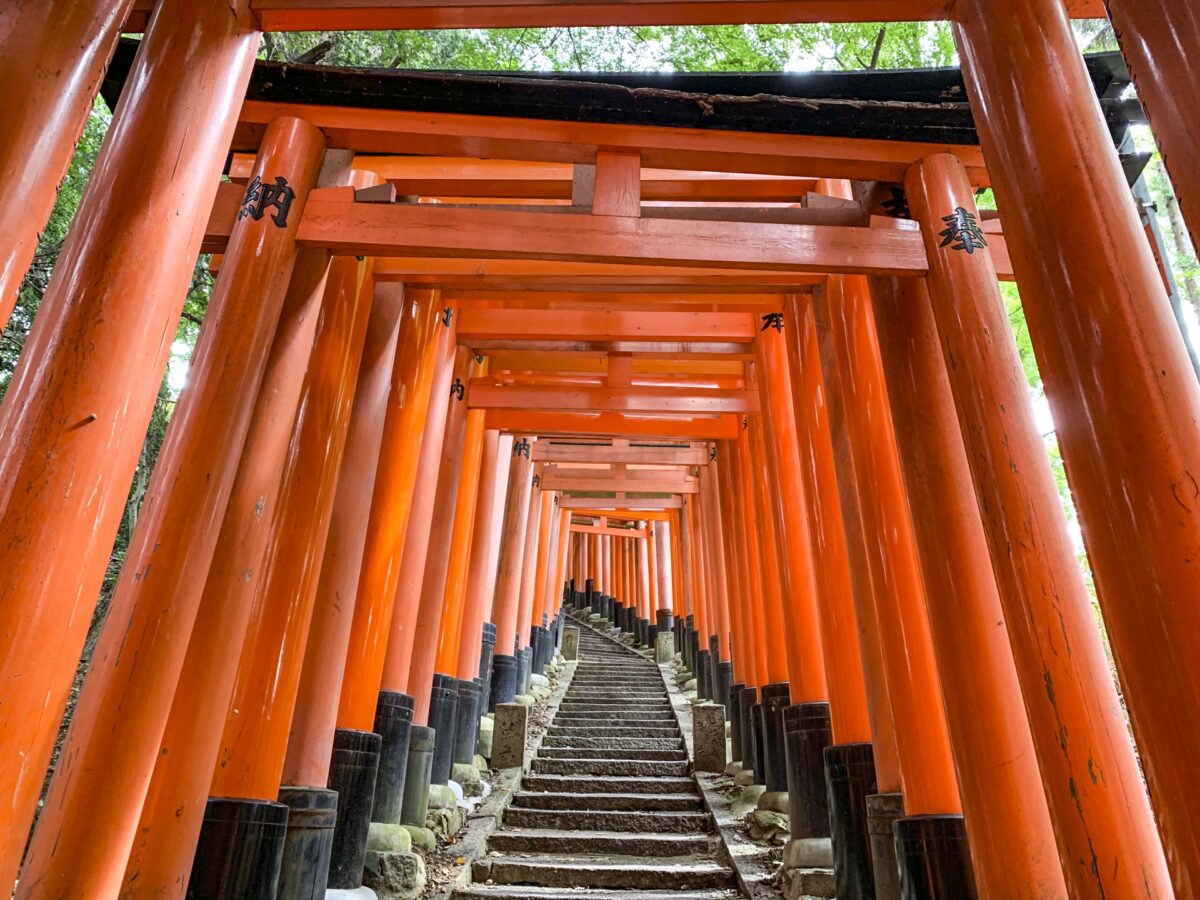 fushimi inari shrine torii