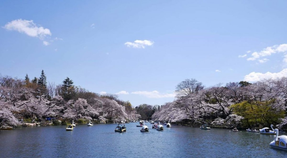 Inokashira Park Kichijoji