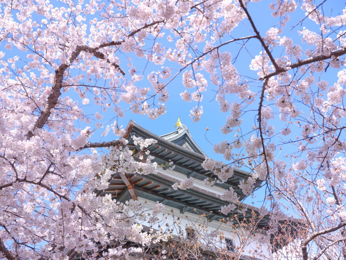 Matsumae Castle 