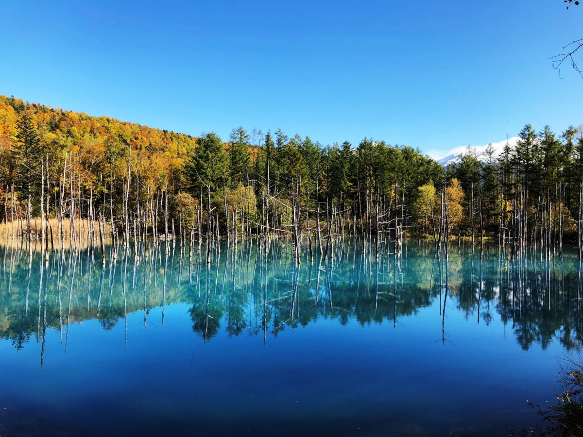 L'étang bleu d'Hokkaido
