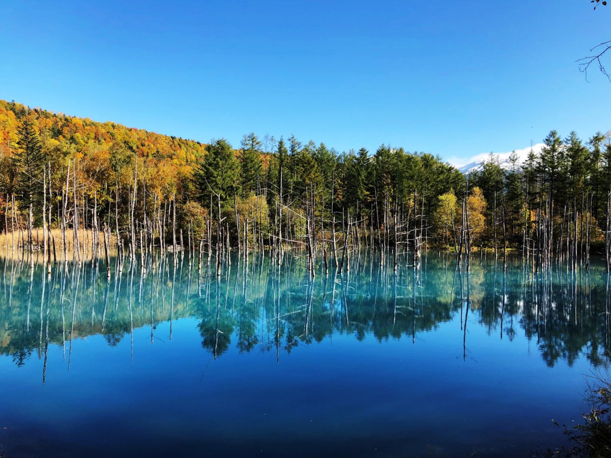 Blue Pond Hokkaido