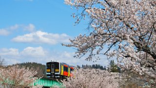 tohoku travel reviews