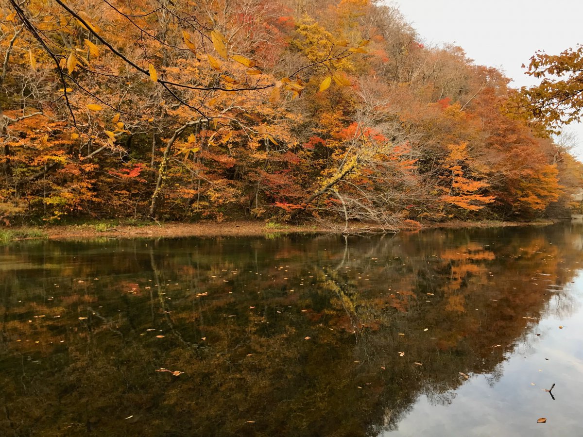 Towada Lake Aomori