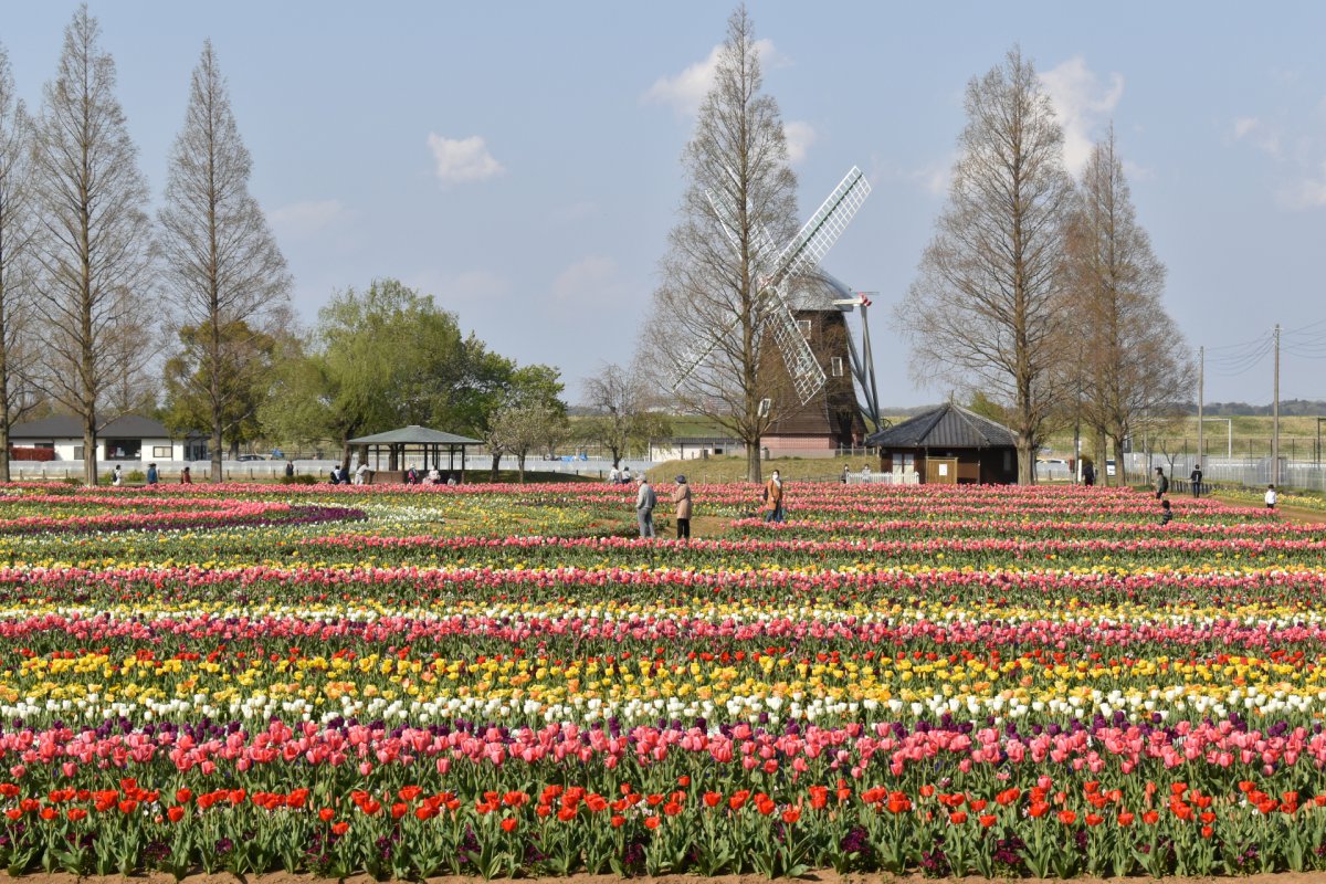 Akebonoyama Agricultural Park Chiba