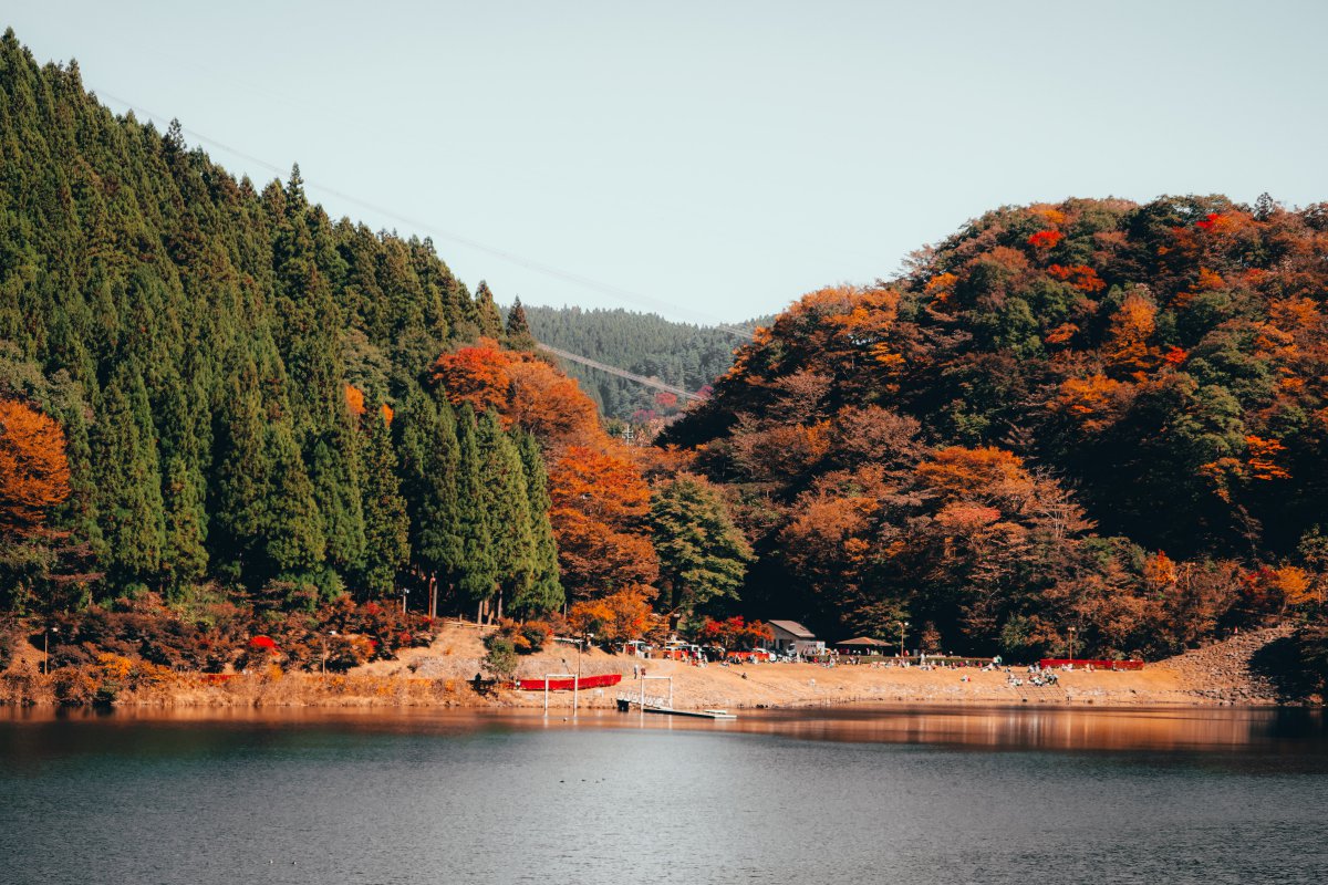 Gunma autumn foliage