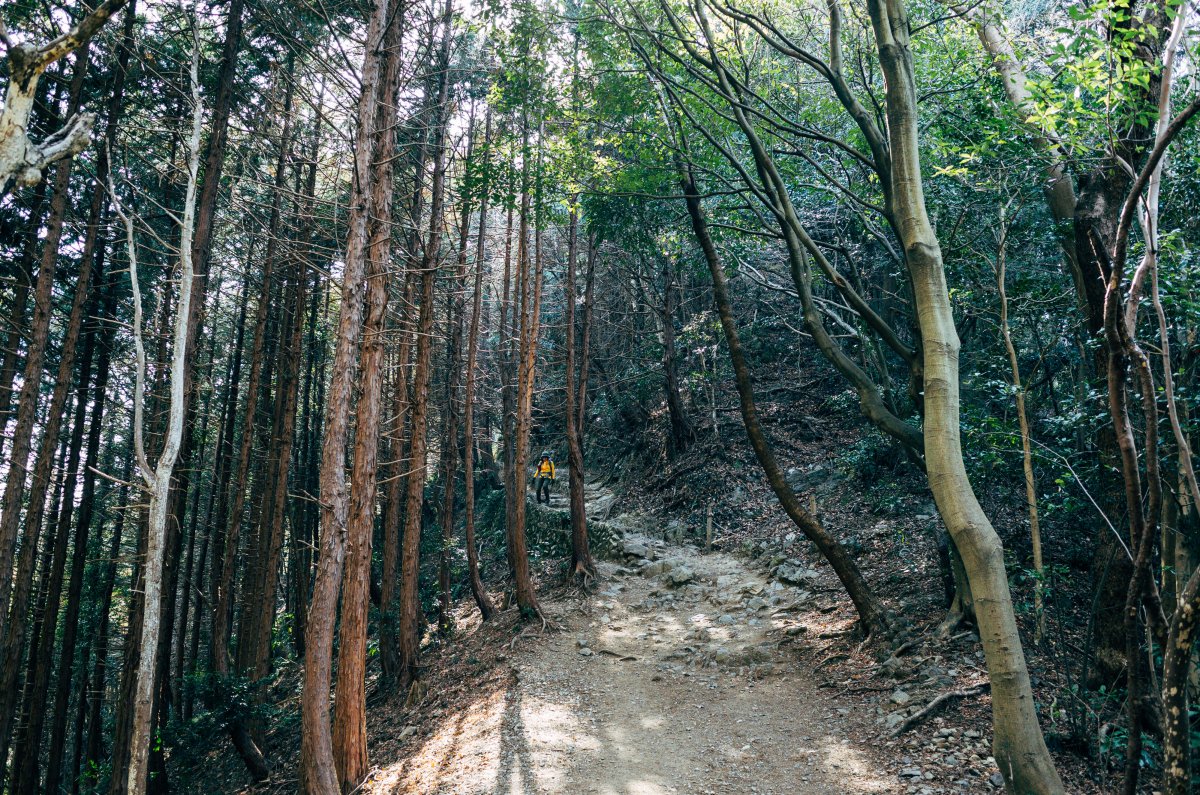 Mount Takao