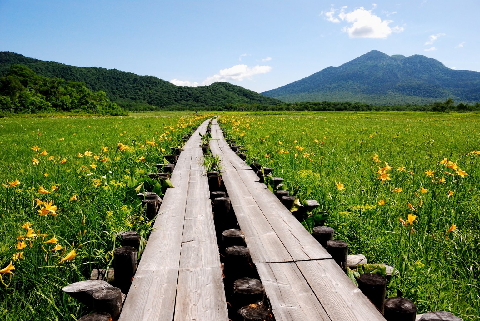 12 Best Hiking Trails Near Tokyo Suited For Everyone Japan Wonder Travel Blog