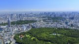 places to visit in tokyo in october