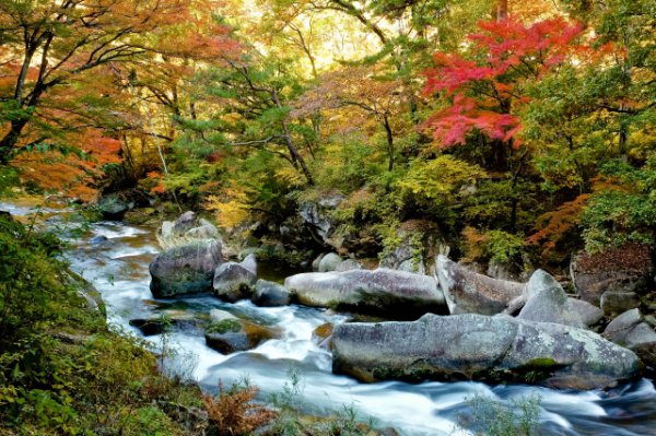 Best Places To Visit In Yamanashi | Japan Wonder Travel Blog