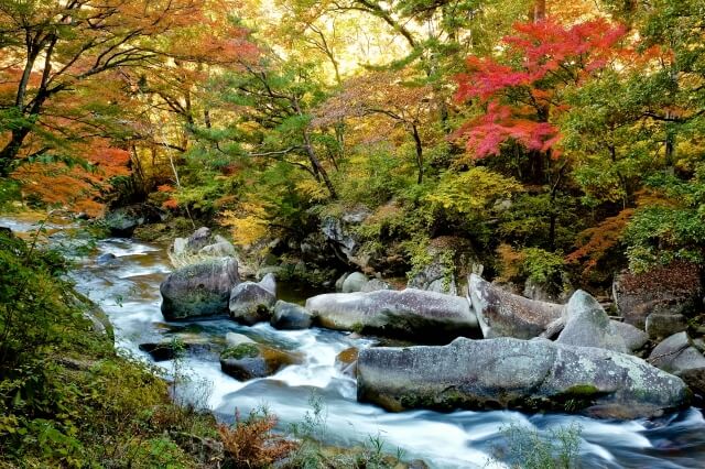 The Best Places to Visit in Chubu Area ―Nagano, Yamanashi, Shizuoka and