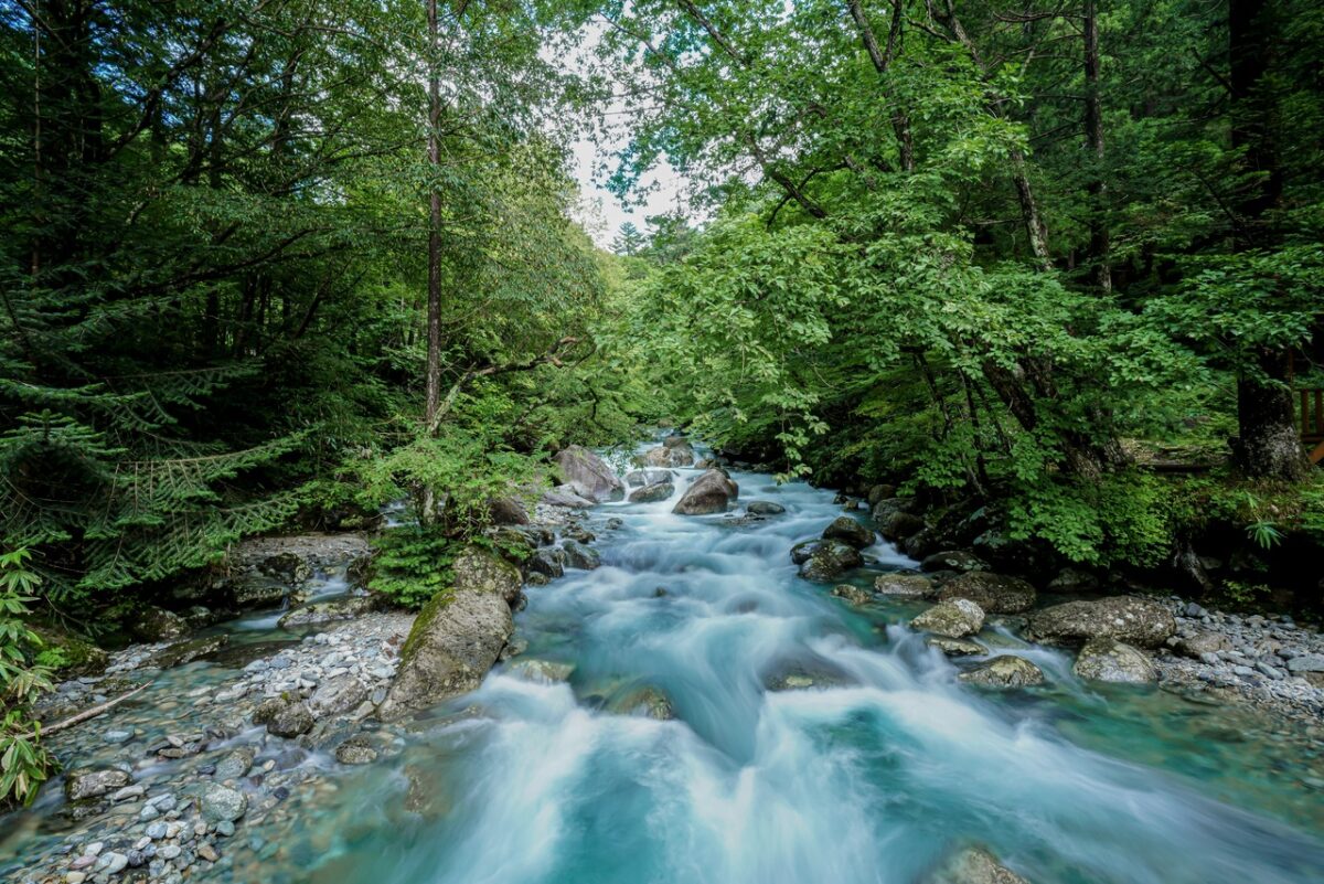 Gifu Otome Gorge 