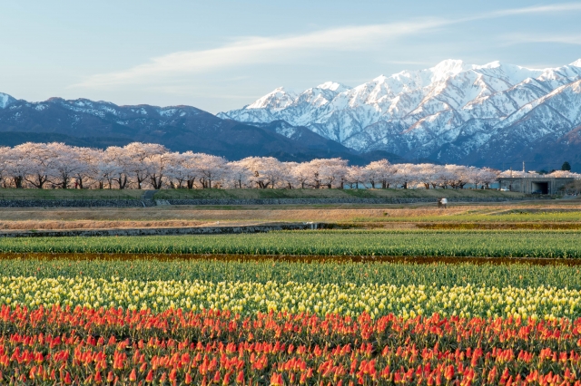 things to do in Toyama