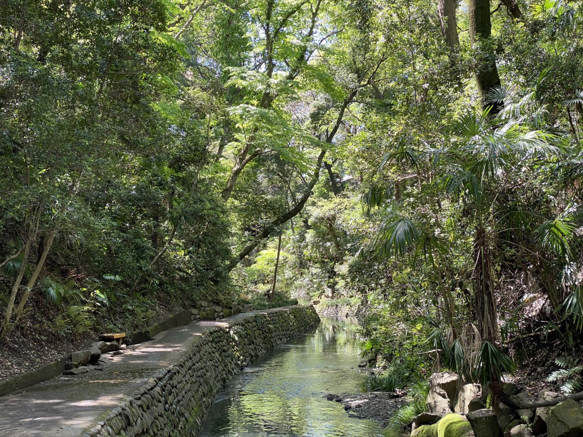 todoroki valley Tokyo