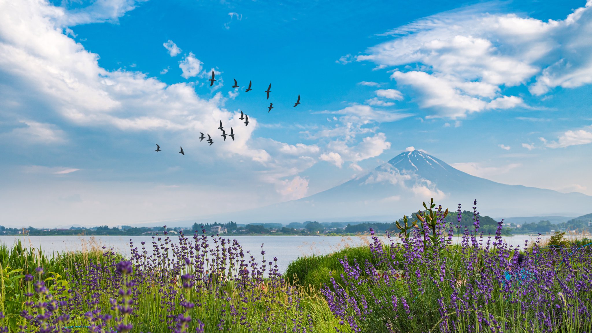 Best Places To Visit In Yamanashi | Japan Wonder Travel Blog