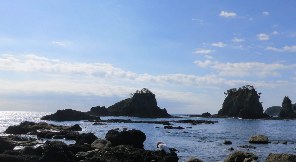 Cape Misaki Izu Peninsula