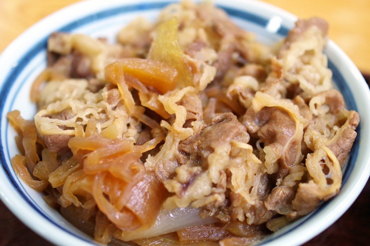 beef bowl Gyudon