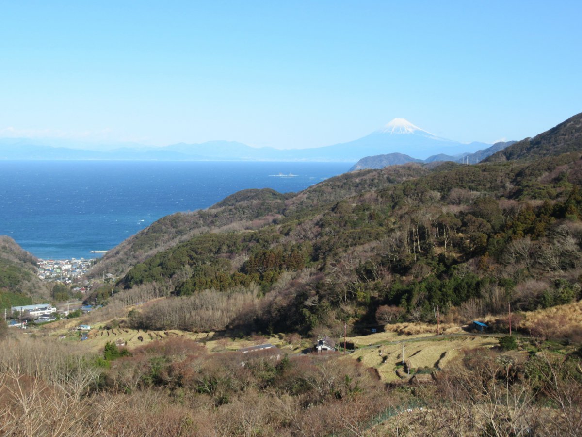 Izu Peninsula Mount Fuji