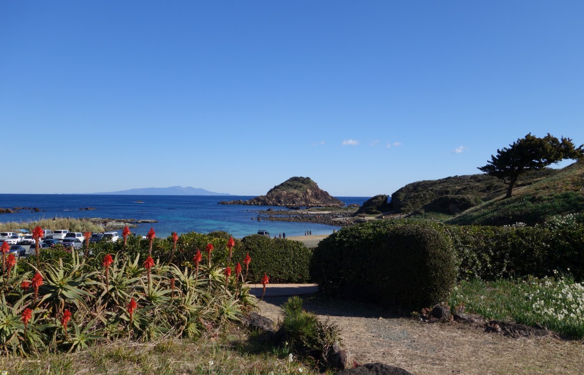 Tsumekizaki Izu peninsula