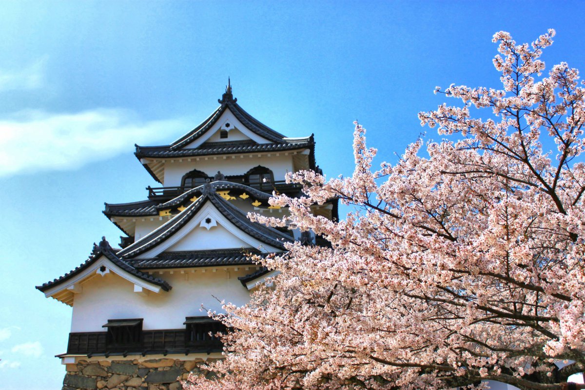 Hikone castle