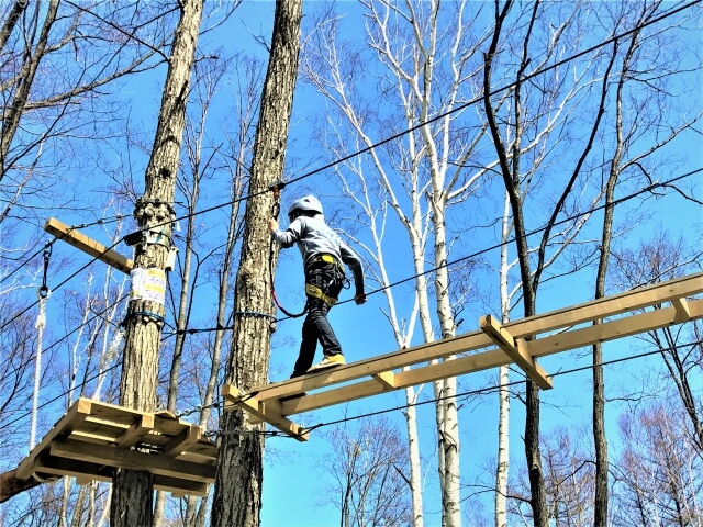 Forest Adventure Fuji