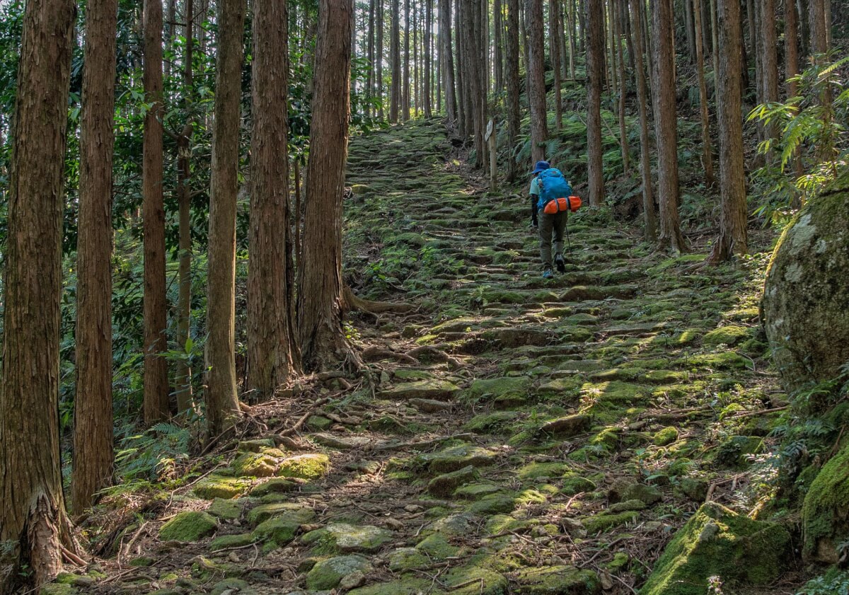 Kumano Kodo Pilgrimage