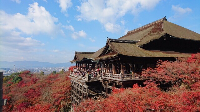 Kiyomizudera temple autumn