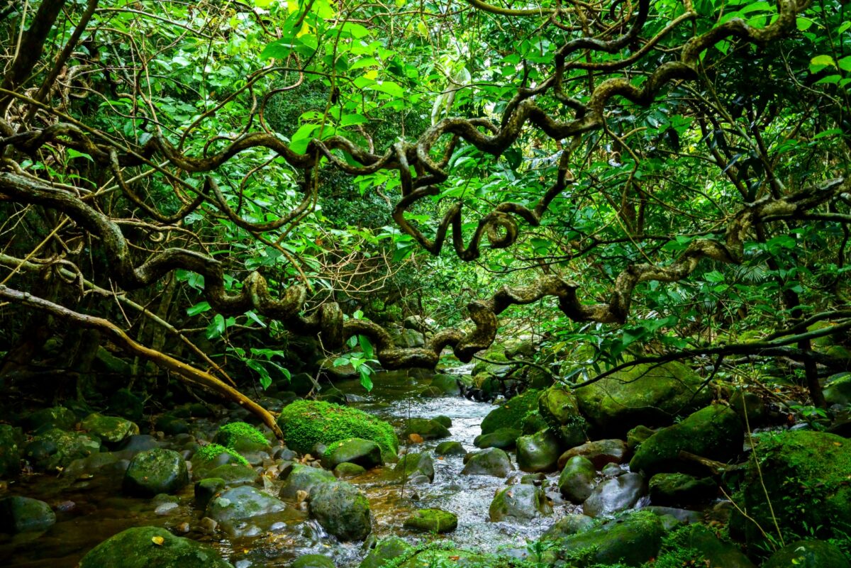 best time to travel okinawa