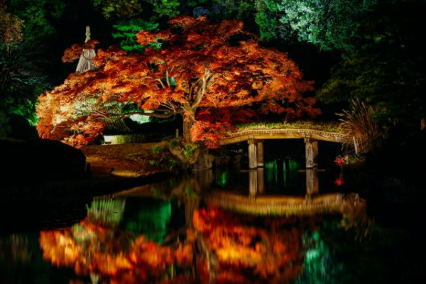 11 Best Places to See Autumn Leaves in Tokyo 2023 | Japan Wonder Travel ...