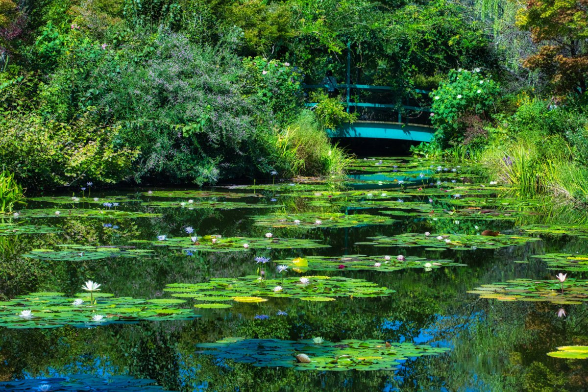 Monet’s Garden Marmottan in Kitagawa Village