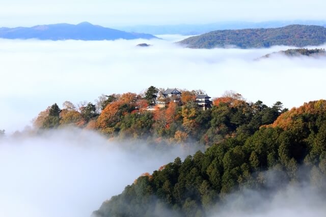 Bitchū Matsuyama Castle