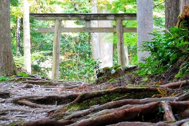 Torii Kumano