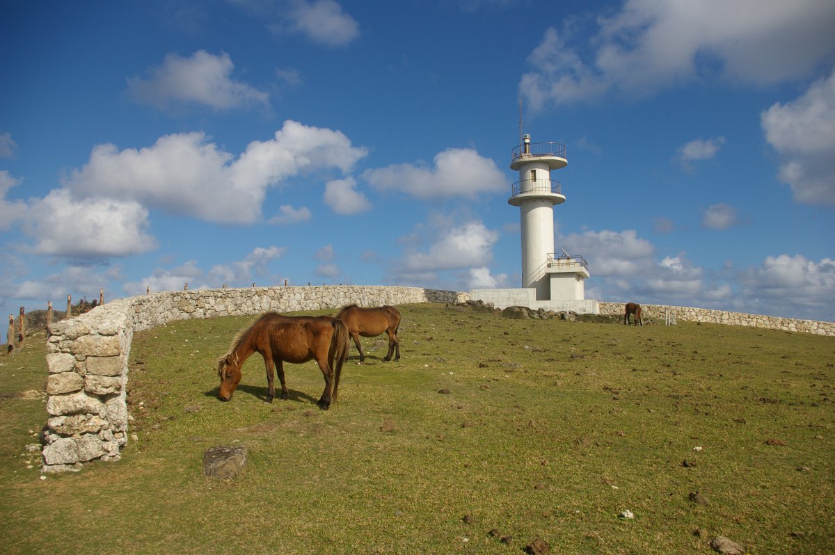 okinawa japan tourist