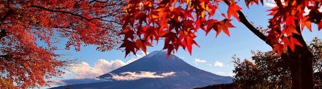 Kawaguchiko autumn