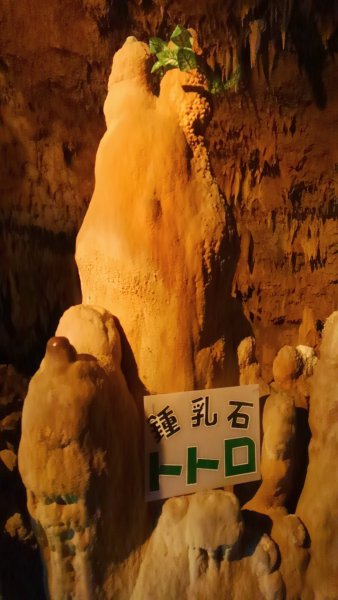 tottori limestone cave ishigaki