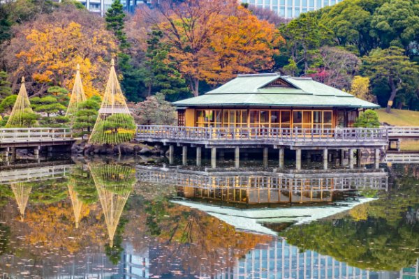 11 Best Places to See Autumn Leaves in Tokyo 2023 | Japan Wonder Travel ...