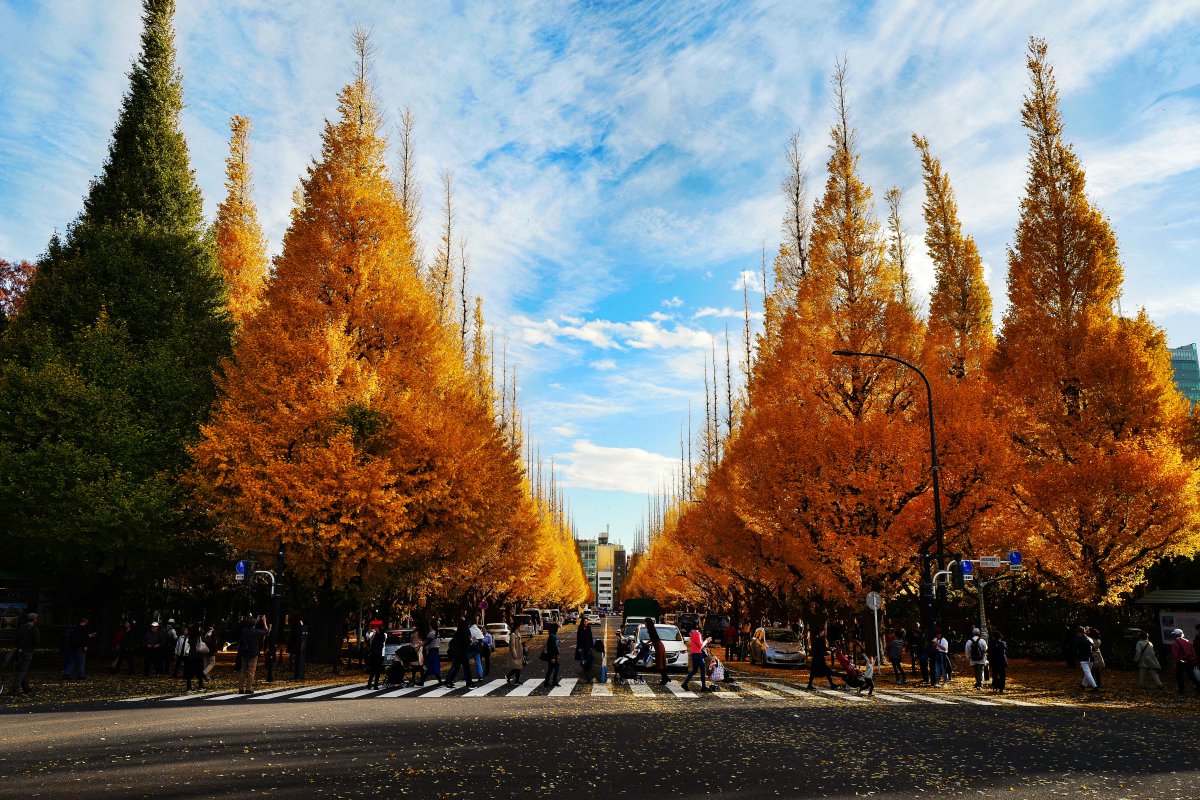 Meiji Jingu Gaien