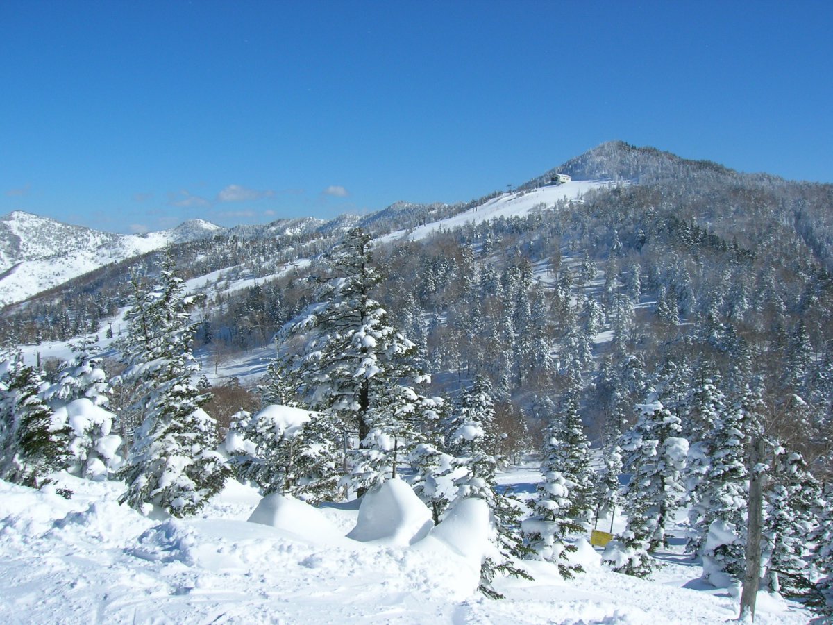 Snow at Shiga KOgen