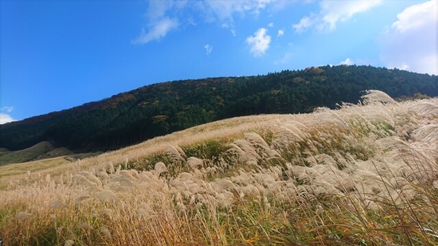 best places to visit in japan autumn