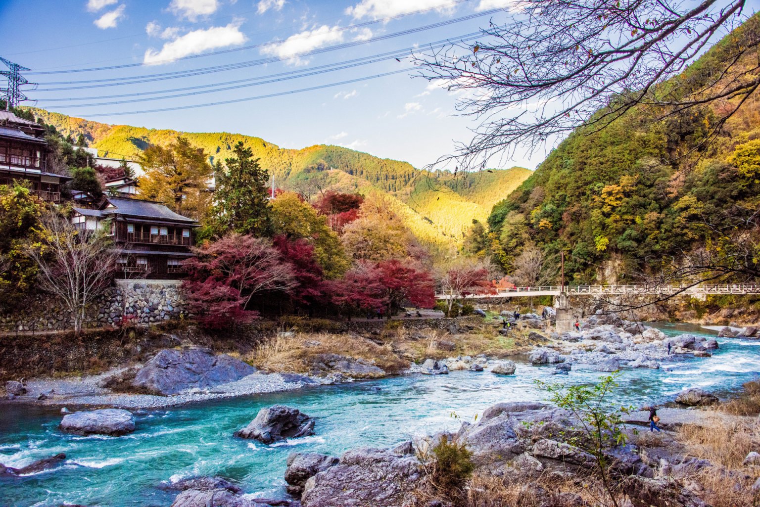 11 Best Places to See Autumn Leaves in Tokyo 2023 | Japan Wonder Travel ...