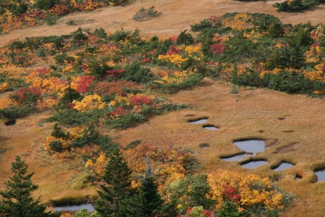 best places to visit in japan autumn