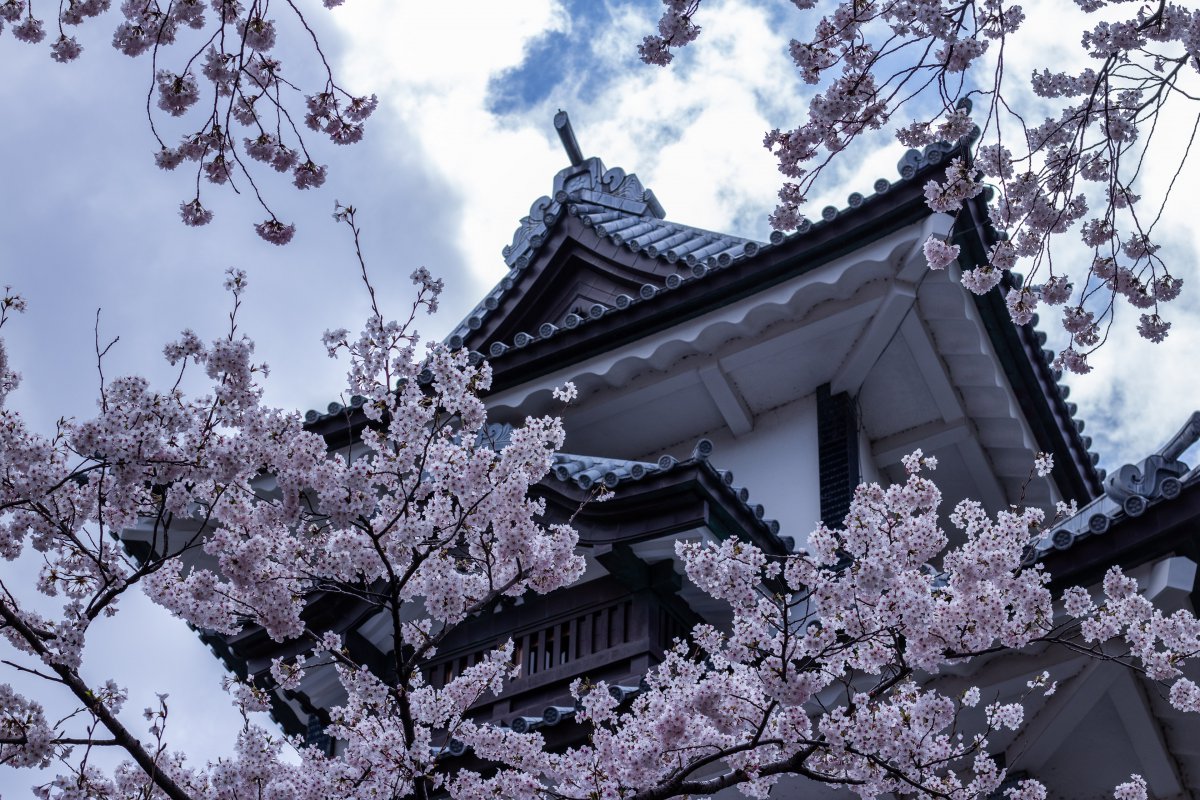 Kanazawa Castle